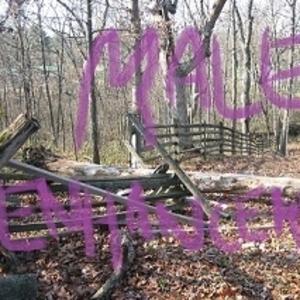 You Will Never See Me Again//No Forwarding Address