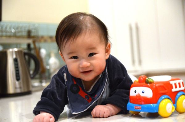 Liam happy to be on the kitchen benchtop