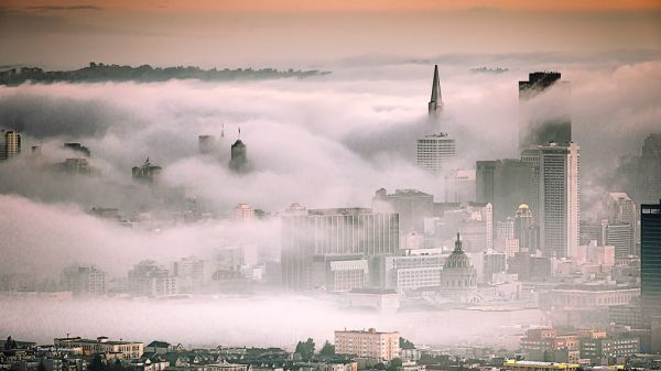 Fog City