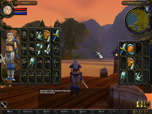 WoW Interface in 2002