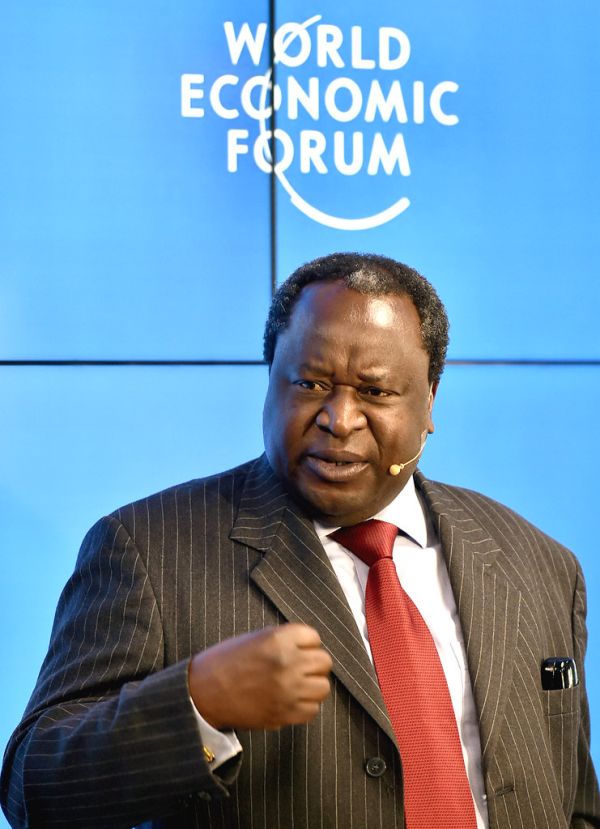 Minister Tito Mboweni addresses Pre-WEFA 2019 conference