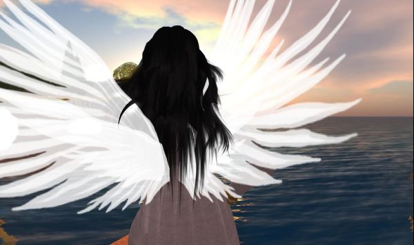 WINGS ON AVATAR IN SECOND LIFE