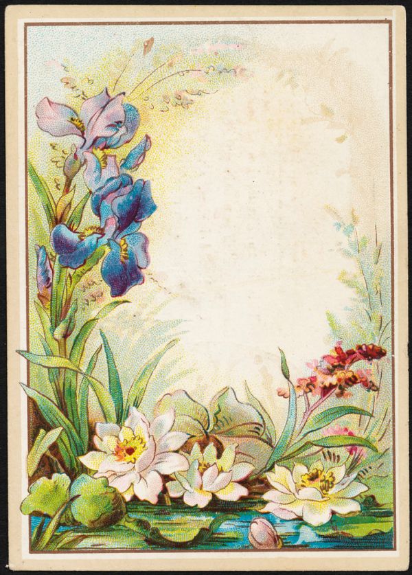 Family record. This is an illustration of our family record, which is neatly printed in colors. It is 11x14 inches, and will be mailed to any address on receipt of 20 cts. [front]