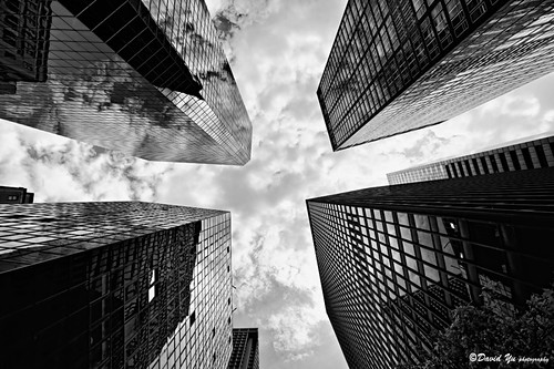 New York City study #2