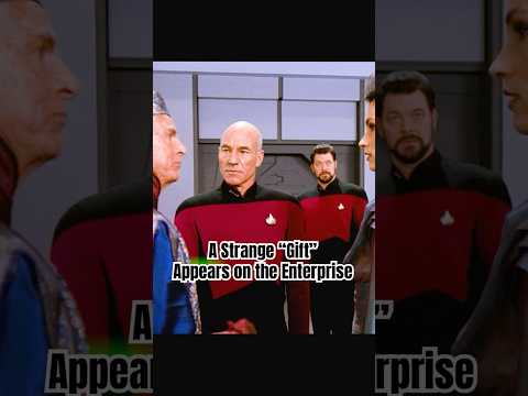 A Strange “Gift” Appears on the Enterprise #foryou #funny #series #shorts #startrek