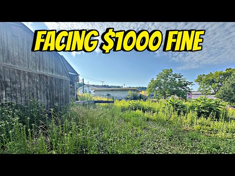 This Yard Was So Overgrown, The City Threatened Fines