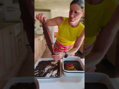 How to Make Traditional South African Biltong
