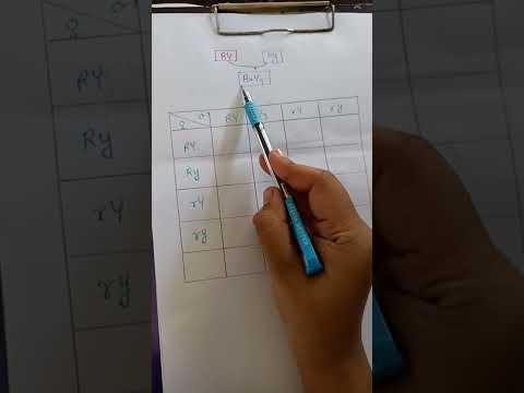 #shorts#youtubeshort #how to make punnett square#basicbiology #genetic #easytrickforpunnettsquare